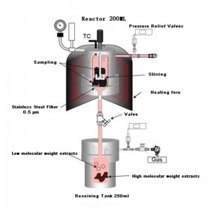 Réacteur autoclave personnalisé TKA